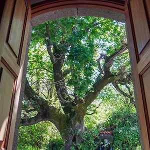  Appartement El Alto Espagne